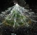 Miles de rosarinos pidieron por la 'paz' ante la violencia en el tradicional encendido de árbol navideño